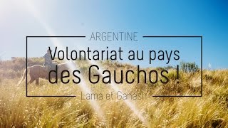 ARGENTINE  Volontariat en Argentine   Lama et Ganesh [upl. by Sheba]