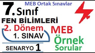 7 Sınıf Fen Bilimleri 2 Dönem 1 Yazılı Örnek Senaryo Çözümleri  Senaryo 1  MEB Örnek Sınav Soru [upl. by Onez]