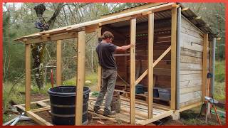 Man Builds Amazing DIY Wood Cabin in the Forest Start to Finish  by MattJacobs1 [upl. by Pegg]