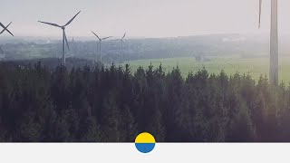 Wie wirken sich Windkraftanlagen auf die Umwelt aus [upl. by Tav]