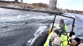 Saltstraumen  Gezeitenstrom in Bodø Nordnorwegen [upl. by Kalman153]