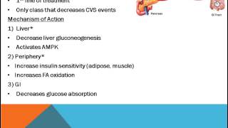 Type II Diabetes Mellitus Pharmacology [upl. by Antonius585]