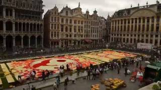 Flower carpet in Brussels [upl. by Ihpen]