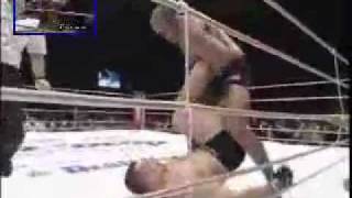 Fedor Emelianenko vs Mirko Cro Cop Highlight [upl. by Yttiy]