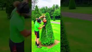 So Satisfying hedging timelapse [upl. by Mich]