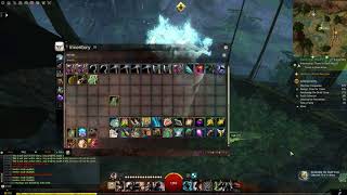 Guild Wars 2 Awakening the Druid Stone collection  05 Arboreal Runestone [upl. by Assirral]