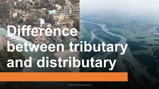 Difference between Tributary and Distributary Learn about tributaries amp distributaries in 2 minutes [upl. by Ynnav386]