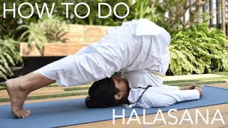 How to do Halasana The Plow Pose  SRMD Yoga [upl. by Fitzger]