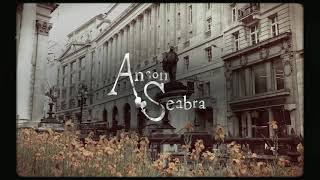 Anson Seabra  Fine Official Lyric Video [upl. by Quillan]