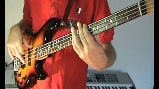 Village People  YMCA  Bass Cover [upl. by Einnob304]