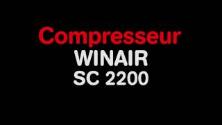 compresseur vis winair sc 2200 [upl. by Perzan]