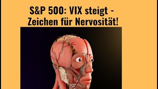 SampP 500 VIX steigt  Zeichen für Nervosität Marktgeflüster Hinweis sorry für schlechten Ton [upl. by Nyl24]