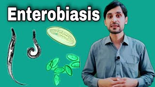 Enterobiasis Disease  Enterobius Vermicularis  Symptoms  Treatment and Life Cycle [upl. by Lesko]