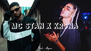 MC STAN X KRNA  Tadipaar X No Cap Official Music Video [upl. by Martelle47]