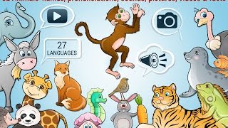 Kids Puzzle game  learn 82 animals [upl. by Halyak]