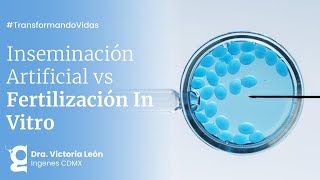 ¿Es mejor la Inseminación Artificial o la Fertilización In Vitro  Ingenes [upl. by Eniamahs]