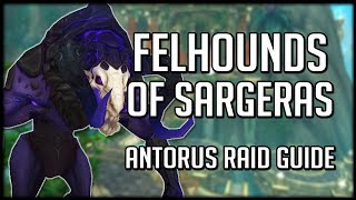 FELHOUNDS OF SARGERAS  Normal  Heroic Antorus Raid Guide  WoW Legion [upl. by Roshelle]