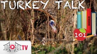 TURKEY TALK 101 Behind the Call [upl. by Emera215]