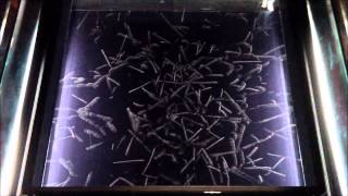 BIGGEST CLOUD CHAMBER full HD with radon gas  AMAZING [upl. by Namijneb274]