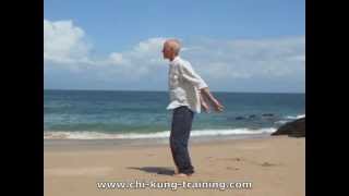 Bos Chi Kung Arm Swinging Qigong [upl. by Kurt]