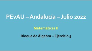 Ejercicio 5  PEvAU Andalucía  Julio 2022  Matemáticas II [upl. by Nnylkcaj705]