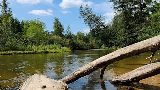 Paddling the Pine River Manistee National Forest hour 1 [upl. by Davin537]