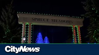 Spruce Meadows Christmas lights display is back in Calgary [upl. by Cirda936]