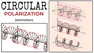 Circular Polarization  Circularly Polarized Electromagnetic Wave Animation [upl. by Rosalinda]