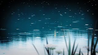 Rain on Pond White Noise  Sleep Study or Focus with Relaxing Rainstorm Sound  10 Hours [upl. by Oirasan288]