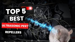 5 Best Ultrasonic Pest Repellers That Actually WORK [upl. by Rostand]