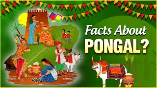 Interesting Facts amp Importance About Pongal  The Indian Harvest Festival  Pongal Festival 2022 [upl. by Helse811]