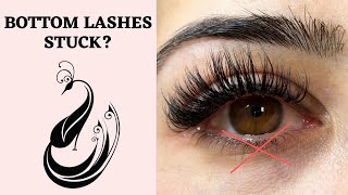 What To Do When Eyelash Extensions Get Stuck to the Bottom Eyelashes  Eyelash Extensions 101 [upl. by Johannes708]