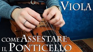 VIOLA – come assestare il ponticello [upl. by Resarf168]