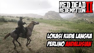 RDR2  TIPS RDR2  LOKASI KUDA LANGKA  PERLINO ANDALUSIAN [upl. by Otineb]