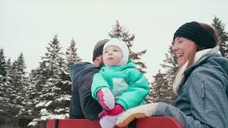 Horsedrawn Sleigh Rides around Stowe VT [upl. by Teddy]