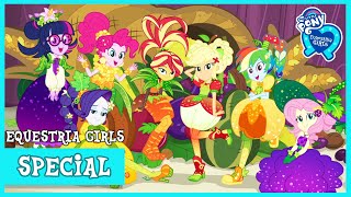 MLP Equestria Girls  Holidays Unwrapped HD [upl. by Atnima310]