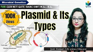 Que es el Máximo Común Divisor │ MCD [upl. by Ahsinid143]