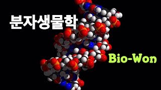 분자생물학 제 4장 part1 [upl. by Zobkiw]