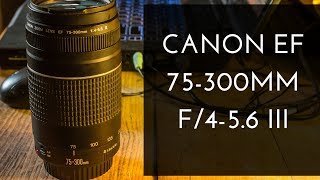 Canon EF 75300mm f456 III  Review en español con ejemplos de sus funciones [upl. by Drusie51]