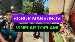 BOBUR MANSUROV  VINELAR TOPLAMI  ENG SARA VINELAR 2024 [upl. by Nesilla]