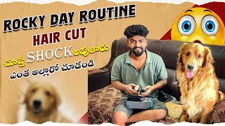 Rocky tho day routine hair new hair cut chusthe shock avthru వీడు ఎంత అల్లారో చూడండి [upl. by Cobb]