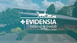 Sfeerimpressie Evidensia Dierenziekenhuis IJsselland [upl. by Grindlay681]