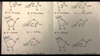 Carbohydrates Part 4 of 4 PDF of Monosaccharides Disaccharides and Polysaccharides [upl. by Haim]