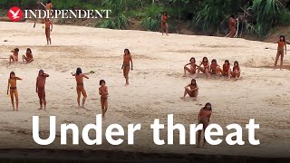 Extraordinary footage emerges of uncontacted tribe in Amazon rainforest [upl. by Mischa607]