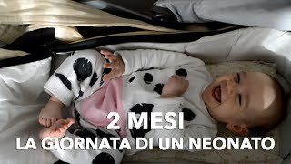 Cosa può fare un neonato a 2 mesi Come organizzare la sua giornata [upl. by Eiro]