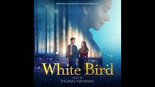 White Bird  Little Bird   Song  Ariella Glaser [upl. by Nudd]