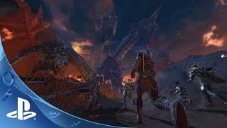 Neverwinter Module 28 Warden Ranger Build [upl. by Keefe838]