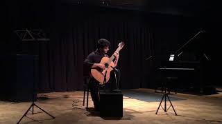 Rodrigo Guitar Concerto Adagio [upl. by Ycnej715]