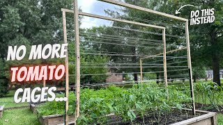 My Favorite Trellis For Any Climbing Plant  Cheap and Simple [upl. by Yrtneg]