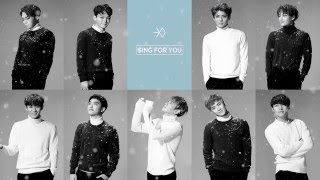 Lyric M EXO  Sing for You 엑소  싱포유 [upl. by Hassi]